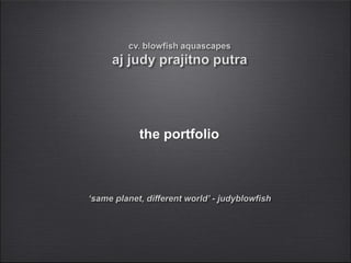 the portfolio
 