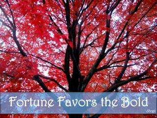 Fortune Favors the Bold-Virgil
 