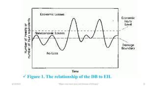  Figure 1. The relationship of the DB to EIL
6/14/2023 “Major crop insect pests and Diseases of Ethiopia” 13
 