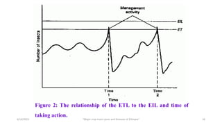 Figure 2: The relationship of the ETL to the EIL and time of
taking action.
6/14/2023 “Major crop insect pests and Diseases of Ethiopia” 18
 