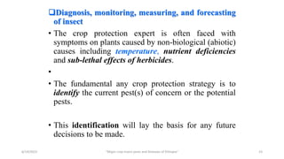 Diagnosis, monitoring, measuring, and forecasting
of insect
• The crop protection expert is often faced with
symptoms on plants caused by non-biological (abiotic)
causes including temperature, nutrient deficiencies
and sub-lethal effects of herbicides.
•
• The fundamental any crop protection strategy is to
identify the current pest(s) of concern or the potential
pests.
• This identification will lay the basis for any future
decisions to be made.
6/14/2023 “Major crop insect pests and Diseases of Ethiopia” 23
 