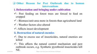  Other Reason for Pest Outbreak due to human
interventions
i. Deforestation and bringing under cultivation
- Pest feeding on forest trees are forced to feed on
cropped
 - Biomass/unit area more in forests than agricultural land
 - Weather factors also altered
- Affects insect development
ii. Destruction of natural enemies
- Due to excess use of insecticides, natural enemies are
killed
- This affects the natural control mechanism and pest
outbreak occurs, e.g. Synthetic pyrethroid insecticides kill
NE.
6/14/2023 “Major crop insect pests and Diseases of Ethiopia” 29
 