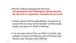 Before making management decision
Entomologists and Pathologists should identify
the diseases or organisms encountered correctly.
 Some insects will be immediately recognized as
insects but you may not be familiar with the order,
family and genus to which it belongs.
 As you move from Class to Order to Family and
perhaps to Genus and Species you will notice that
choices may become more difficult.
6/14/2023 “Major crop insect pests and Diseases of Ethiopia” 34
 