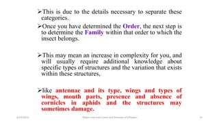 This is due to the details necessary to separate these
categories.
Once you have determined the Order, the next step is
to determine the Family within that order to which the
insect belongs.
This may mean an increase in complexity for you, and
will usually require additional knowledge about
specific types of structures and the variation that exists
within these structures,
like antennae and its type, wings and types of
wings, mouth parts, presence and absence of
cornicles in aphids and the structures may
sometimes damage.
6/14/2023 “Major crop insect pests and Diseases of Ethiopia” 35
 