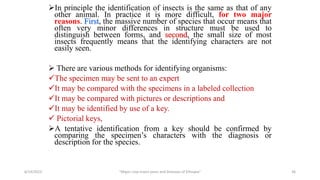 In principle the identification of insects is the same as that of any
other animal. In practice it is more difficult, for two major
reasons. First, the massive number of species that occur means that
often very minor differences in structure must be used to
distinguish between forms, and second, the small size of most
insects frequently means that the identifying characters are not
easily seen.
 There are various methods for identifying organisms:
The specimen may be sent to an expert
It may be compared with the specimens in a labeled collection
It may be compared with pictures or descriptions and
It may be identified by use of a key.
 Pictorial keys,
A tentative identification from a key should be confirmed by
comparing the specimen’s characters with the diagnosis or
description for the species.
6/14/2023 “Major crop insect pests and Diseases of Ethiopia” 36
 
