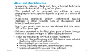 Insect and plant interaction
• Interactions between plants and their arthropod herbivores
dominate the terrestrial ecology of our planet.
• The survival of an estimated one million or more
phytophagous insect species depends on plants as a source of
food.
• Plant-eating arthropods employ sophisticated feeding
strategies to obtain nutrients from all aboveground and
belowground plant parts.
• Insects and plants share ancient associations that date some
300 million years ago
• Evidence preserved in fossilized plant parts of insect damage
indicates a diversity of types of plant-feeding by insects
• which are presumed to have had different mouthparts
• Biting and Chewing(Nymph and adult of Orthoptera, larvae and adult
of coleoptera and larvae of lepidoptera)
• Siphoning (Lepidoptera-moth and bettery fly)
• Piercing and sucking (Hemiptera, Homoptera) aphid and bugs
• Rasping and sucking (Thysanoptera-Thrips and mites)
6/14/2023 “Major crop insect pests and Diseases of Ethiopia” 37
 