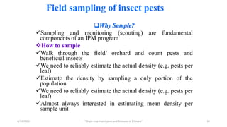 Field sampling of insect pests
Why Sample?
Sampling and monitoring (scouting) are fundamental
components of an IPM program
How to sample
Walk through the field/ orchard and count pests and
beneficial insects
We need to reliably estimate the actual density (e.g. pests per
leaf)
Estimate the density by sampling a only portion of the
population
We need to reliably estimate the actual density (e.g. pests per
leaf)
Almost always interested in estimating mean density per
sample unit
6/14/2023 “Major crop insect pests and Diseases of Ethiopia” 38
 