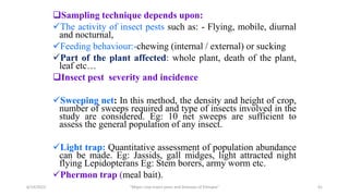 Sampling technique depends upon:
The activity of insect pests such as: - Flying, mobile, diurnal
and nocturnal,
Feeding behaviour:-chewing (internal / external) or sucking
Part of the plant affected: whole plant, death of the plant,
leaf etc…
Insect pest severity and incidence
Sweeping net: In this method, the density and height of crop,
number of sweeps required and type of insects involved in the
study are considered. Eg: 10 net sweeps are sufficient to
assess the general population of any insect.
Light trap: Quantitative assessment of population abundance
can be made. Eg: Jassids, gall midges, light attracted night
flying Lepidopterans Eg: Stem borers, army worm etc.
Phermon trap (meal bait).
6/14/2023 “Major crop insect pests and Diseases of Ethiopia” 41
 