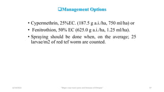 Management Options
• Cypermethrin, 25%EC. (187.5 g a.i./ha, 750 ml/ha) or
• Fenitrothion, 50% EC (625.0 g a.i./ha, 1.25 ml/ha).
• Spraying should be done when, on the average; 25
larvae/m2 of red tef worm are counted.
6/14/2023 “Major crop insect pests and Diseases of Ethiopia” 47
 