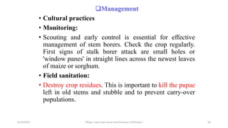 Management
• Cultural practices
• Monitoring:
• Scouting and early control is essential for effective
management of stem borers. Check the crop regularly.
First signs of stalk borer attack are small holes or
'window panes' in straight lines across the newest leaves
of maize or sorghum.
• Field sanitation:
• Destroy crop residues. This is important to kill the pupae
left in old stems and stubble and to prevent carry-over
populations.
6/14/2023 “Major crop insect pests and Diseases of Ethiopia” 63
 