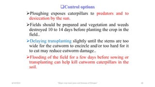 Control options
Ploughing exposes caterpillars to predators and to
desiccation by the sun.
Fields should be prepared and vegetation and weeds
destroyed 10 to 14 days before planting the crop in the
field..
Delaying transplanting slightly until the stems are too
wide for the cutworm to encircle and/or too hard for it
to cut may reduce cutworm damage..
Flooding of the field for a few days before sowing or
transplanting can help kill cutworm caterpillars in the
soil.
6/14/2023 “Major crop insect pests and Diseases of Ethiopia” 68
 
