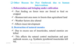 Other Reason for Pest Outbreak due to human
interventions
i. Deforestation and bringing under cultivation
- Pest feeding on forest trees are forced to feed on
cropped
 - Biomass/unit area more in forests than agricultural land
 - Weather factors also altered
- Affects insect development
ii. Destruction of natural enemies
- Due to excess use of insecticides, natural enemies are
killed
- This affects the natural control mechanism and pest
outbreak occurs, e.g. Synthetic pyrethroid insecticides kill
NE.
6/14/2023 “Major crop insect pests and Diseases of Ethiopia” 29
 