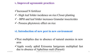 v. Improved agronomic practices
Increased N fertilizer
- High leaf folder incidence on rice Closer planting
 - BPH and leaf folder increases Granular insecticides
- Possess phytotoxic effect on rice
vi. Introduction of new pest in new environment
Pest multiplies due to absence of natural enemies in new
area
Apple wooly aphid Eriosoma lanigerum multiplied fast
due to absence of Aphelinus mali (Parasit)
6/14/2023 “Major crop insect pests and Diseases of Ethiopia” 31
 