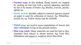 Suction trap: In this method, flying insects are trapped
by sucking air into trap with a suction apparatus operated
by fan or by means of motor. Eg: Beetles, weevils, jassids,
aphids etc
Sticky board: Suitable adhesive material (grease) pasted
on paper is used for collection of insects. Eg: Whiteflies,
jassids etc, eg. Yellow sticky trap for whitefly
Pitfall trap: are used to assess populations of insects and
other arthropods living on the ground surface.
Bait trap catch: Many materials are used for bait as they
stimulate food odours to attract insects. Eg: Fruit flies
(Malathion and jaggery), sorghum shoot flies (Fish
6/14/2023 “Major crop insect pests and Diseases of Ethiopia” 42
 