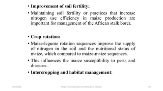 • Improvement of soil fertility:
• Maintaining soil fertility or practices that increase
nitrogen use efficiency in maize production are
important for management of the African stalk borer.
• Crop rotation:
• Maize-legume rotation sequences improve the supply
of nitrogen in the soil and the nutritional status of
maize, which compared to maize-maize sequences.
• This influences the maize susceptibility to pests and
diseases.
• Intercropping and habitat management:
6/14/2023 “Major crop insect pests and Diseases of Ethiopia” 64
 