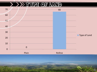 TYPE OF LAND
70                 66

60

50

40

30
                           Type of Land
20

10
      0
0
     Plain       Rolling
 