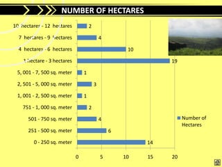 NUMBER OF HECTARES
10 hectares - 12 hectares            2

  7 hectares - 9 hectares                    4

  4 hectares - 6 hectares                             10

    1 hectare - 3 hectares                                      19

 5, 001 - 7, 500 sq. meter       1

 2, 501 - 5, 000 sq. meter               3

 1, 001 - 2, 500 sq. meter       1

    751 - 1, 000 sq. meter           2

      501 - 750 sq. meter                    4                       Number of
                                                                     Hectares
      251 - 500 sq. meter                        6

        0 - 250 sq. meter                                  14

                             0               5       10    15   20
 