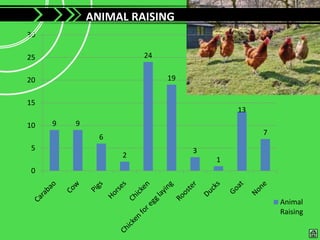 ANIMAL RAISING
30

25                     24


20                          19


15
                                         13
10   9   9
                                              7
               6
5                                3
                   2
                                     1
0


                                                  Animal
                                                  Raising
 