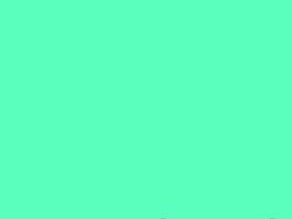 Purok Balakayo Presentation