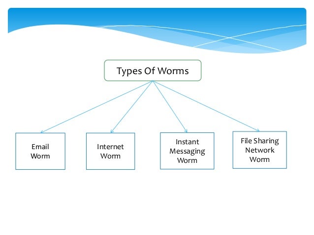 Computer Worms Viruses And Prevention
