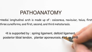 •Medial longitudinal arch is made up of : calcaneus, navicular, talus, first
three cuneiforms, and first, second, and third metatarsals.
PATHOANATOMY
•It is supported by : spring ligament, deltoid ligament,
posterior tibial tendon, plantar aponeurosis, FHL or FHB
 