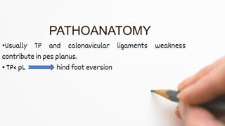 •Usually TP and calonavicular ligaments weakness
contribute in pes planus.
• TP< pL hind foot eversion
PATHOANATOMY
 