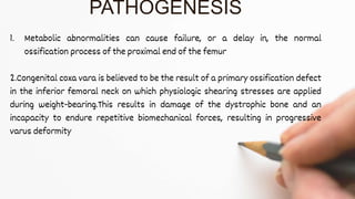 1. Metabolic abnormalities can cause failure, or a delay in, the normal
ossification process of the proximal end of the femur
2.Congenital coxa vara is believed to be the result of a primary ossification defect
in the inferior femoral neck on which physiologic shearing stresses are applied
during weight-bearing.This results in damage of the dystrophic bone and an
incapacity to endure repetitive biomechanical forces, resulting in progressive
varus deformity
PATHOGENESIS
 