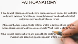 PATHOANATOMY
# Due to weak tibialis anterior and strong peroneus muscle causes the forefoot to
undergoes eversion (pronation or valgus) to balance tripod position hindfoot
undergoes inversion (supination or varus)
# Extensor hallucis longus, tibialis anterior unable to balance strong peroneus
longus,tibialis posterior and tricep surae muscle Which leads to plantar flexion.
# Due to weak peroneus brevis and strong tibialis posterior, calcaneus undergoes
inversion and adduction means supination of hind foot occur.
 