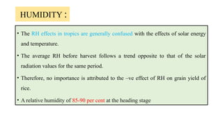 Different systems of rice cultivation and their growth conditions | PPTX