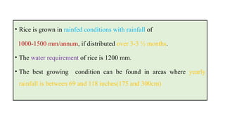 Different systems of rice cultivation and their growth conditions | PPTX