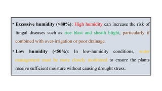 Different systems of rice cultivation and their growth conditions | PPTX