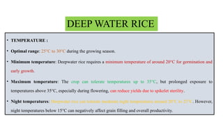 Climatic conditions for rice cultivation | PPTX
