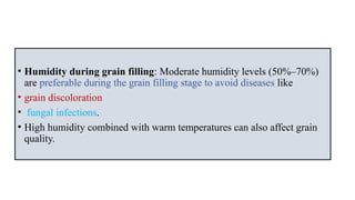 Climatic conditions for rice cultivation | PPTX