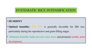 Climatic conditions for rice cultivation | PPTX