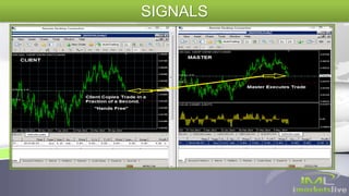 SIGNALS
 