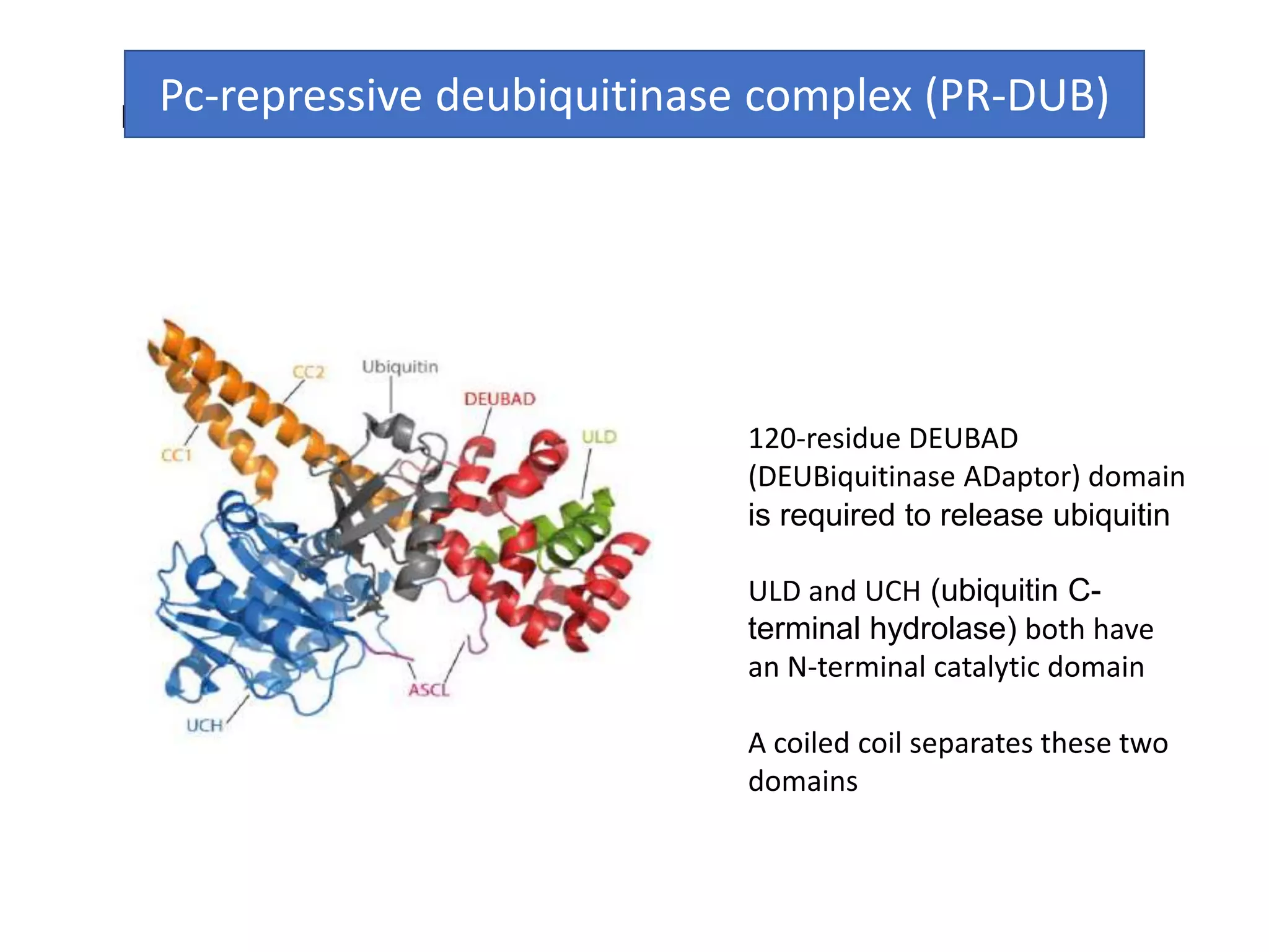 POLYCOMB GROUP OF PROTEINS | PPTX