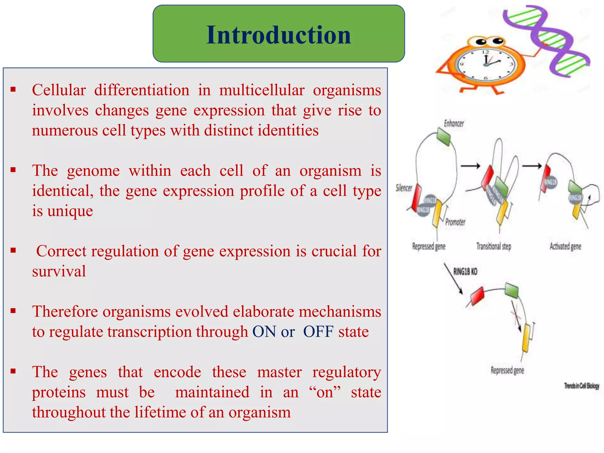 POLYCOMB GROUP OF PROTEINS | PPTX