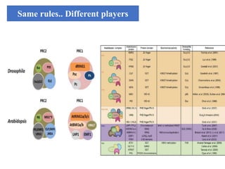 POLYCOMB GROUP OF PROTEINS | PPTX