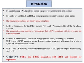 POLYCOMB GROUP OF PROTEINS | PPTX