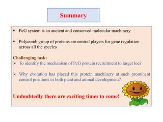 POLYCOMB GROUP OF PROTEINS | PPTX