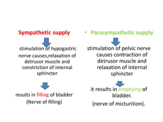 TYPES OF NERVES NERVE FIBRES ACTION COMMENTS
SYMPATHETIC HYPOGASTRIC
NERVES(L1,L2,L3)
INFERIOR
MESNTERIC
GANGLION
motor to...