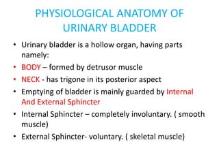 PHYSIOLOGICAL ANATOMY OF
URINARY BLADDER
• Urinary bladder is a hollow organ, having parts
namely:
• BODY – formed by detr...