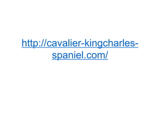 http://cavalier-kingcharles-
spaniel.com/
 