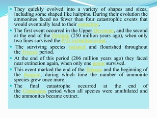  They quickly evolved into a variety of shapes and sizes,
including some shaped like hairpins. During their evolution the
ammonites faced no fewer than four catastrophic events that
would eventually lead to their extinction.
 The first event occurred in the Upper Devonian, and the second
at the end of the Permian (250 million years ago), when only
two lines survived the P/Tr extinction event.
 The surviving species radiated and flourished throughout
the Triassic period.
 At the end of this period (206 million years ago) they faced
near extinction again, when only one genus survived.
 This event marked the end of the Triassic and the beginning of
the Jurassic, during which time the number of ammonite
species grew once more.
 The final catastrophe occurred at the end of
the Cretaceous period when all species were annihilated and
the ammonites became extinct.
 