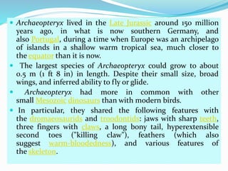  Archaeopteryx lived in the Late Jurassic around 150 million
years ago, in what is now southern Germany, and
also Portugal, during a time when Europe was an archipelago
of islands in a shallow warm tropical sea, much closer to
the equator than it is now.
 The largest species of Archaeopteryx could grow to about
0.5 m (1 ft 8 in) in length. Despite their small size, broad
wings, and inferred ability to fly or glide.
 Archaeopteryx had more in common with other
small Mesozoic dinosaurs than with modern birds.
 In particular, they shared the following features with
the dromaeosaurids and troodontids: jaws with sharp teeth,
three fingers with claws, a long bony tail, hyperextensible
second toes ("killing claw"), feathers (which also
suggest warm-bloodedness), and various features of
the skeleton.
 