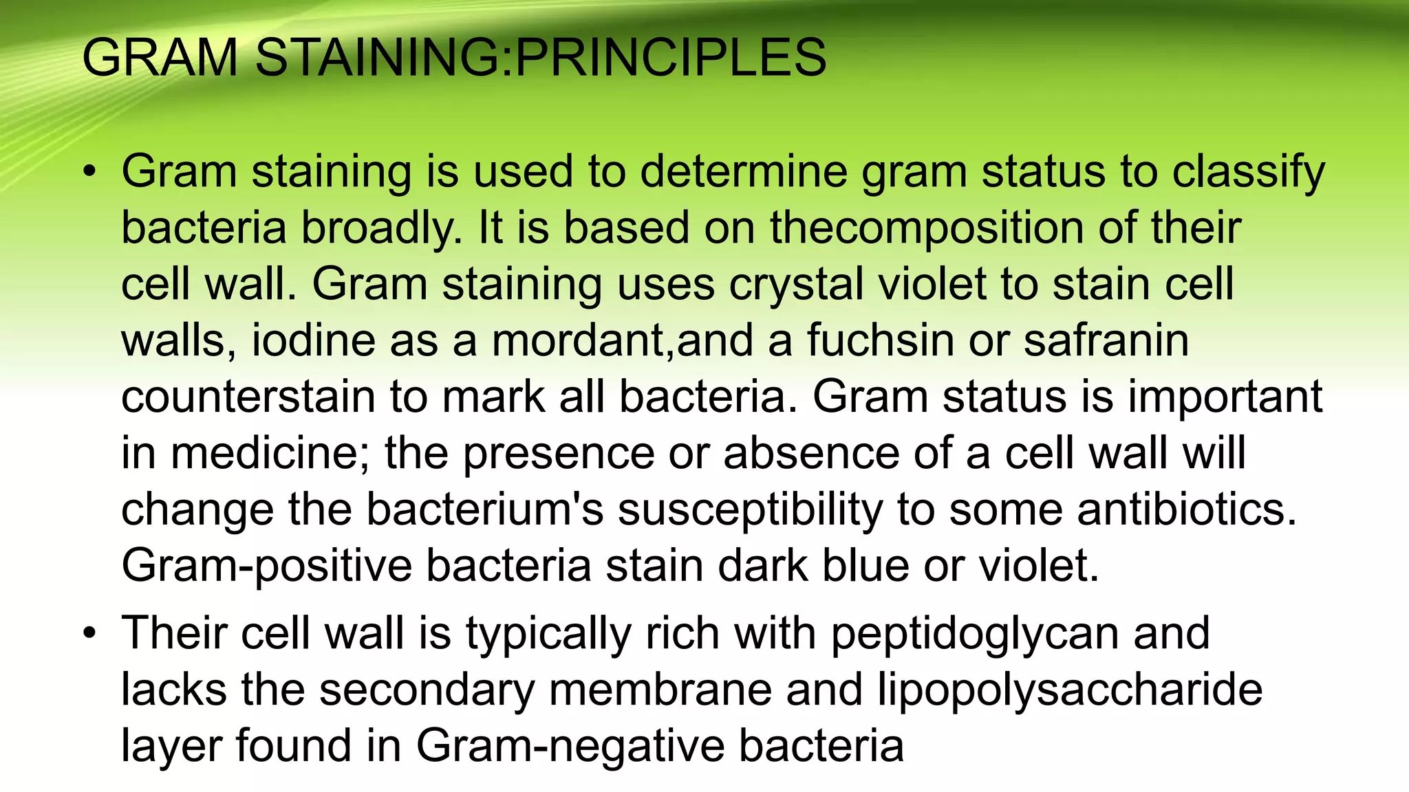 GRAM STAINING:PRINCIPLES
• Gram staining is used to determine gram status to classify
bacteria broadly. It is based on thecomposition of their
cell wall. Gram staining uses crystal violet to stain cell
walls, iodine as a mordant,and a fuchsin or safranin
counterstain to mark all bacteria. Gram status is important
in medicine; the presence or absence of a cell wall will
change the bacterium's susceptibility to some antibiotics.
Gram-positive bacteria stain dark blue or violet.
• Their cell wall is typically rich with peptidoglycan and
lacks the secondary membrane and lipopolysaccharide
layer found in Gram-negative bacteria
 