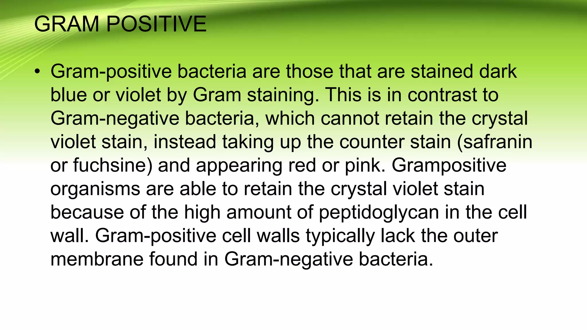 GRAM POSITIVE
• Gram-positive bacteria are those that are stained dark
blue or violet by Gram staining. This is in contrast to
Gram-negative bacteria, which cannot retain the crystal
violet stain, instead taking up the counter stain (safranin
or fuchsine) and appearing red or pink. Grampositive
organisms are able to retain the crystal violet stain
because of the high amount of peptidoglycan in the cell
wall. Gram-positive cell walls typically lack the outer
membrane found in Gram-negative bacteria.
 