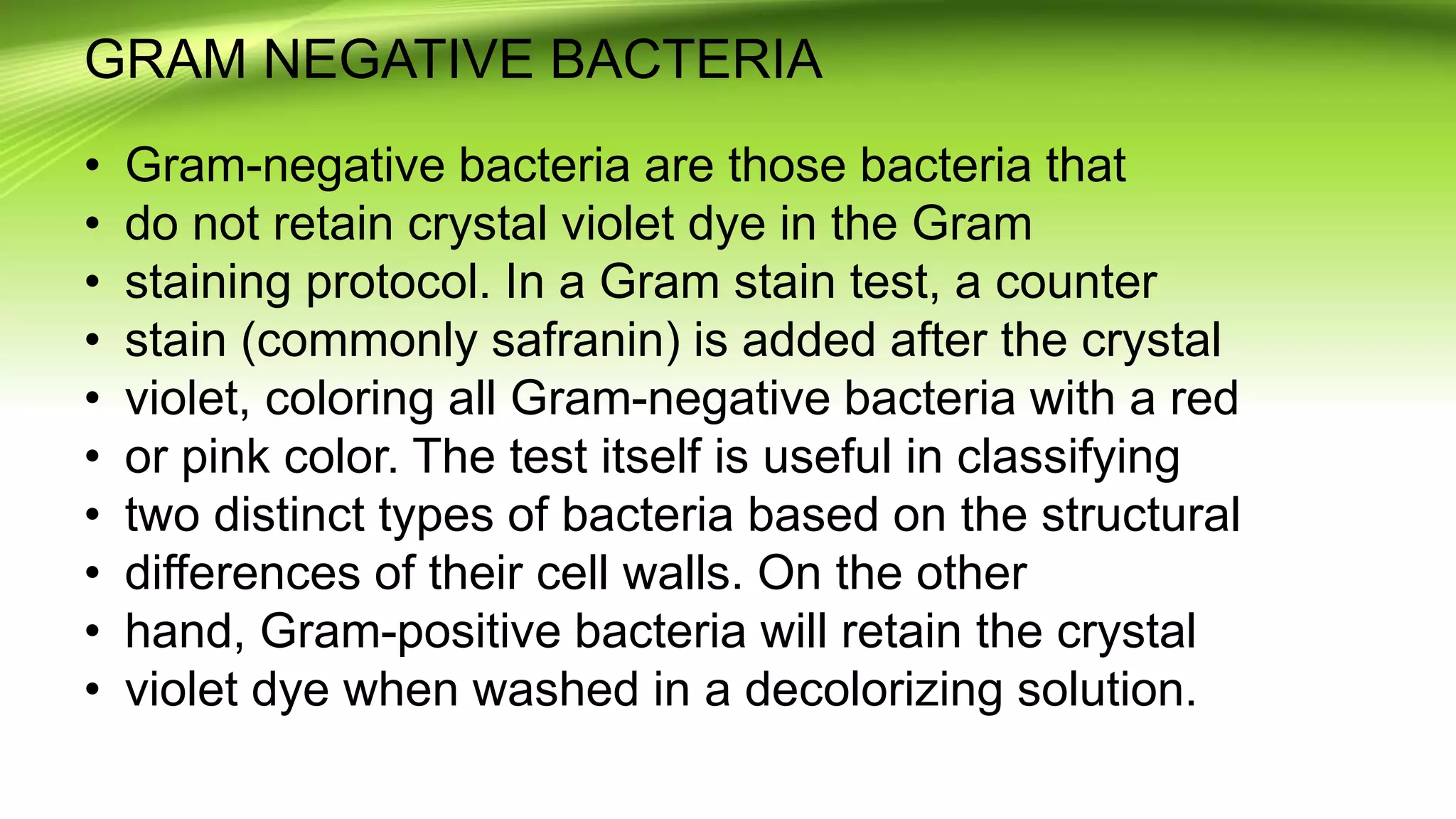 GRAM NEGATIVE BACTERIA
• Gram-negative bacteria are those bacteria that
• do not retain crystal violet dye in the Gram
• staining protocol. In a Gram stain test, a counter
• stain (commonly safranin) is added after the crystal
• violet, coloring all Gram-negative bacteria with a red
• or pink color. The test itself is useful in classifying
• two distinct types of bacteria based on the structural
• differences of their cell walls. On the other
• hand, Gram-positive bacteria will retain the crystal
• violet dye when washed in a decolorizing solution.
 