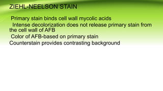 ZIEHL-NEELSON STAIN
Primary stain binds cell wall mycolic acids
Intense decolorization does not release primary stain from
the cell wall of AFB
Color of AFB-based on primary stain
Counterstain provides contrasting background
 