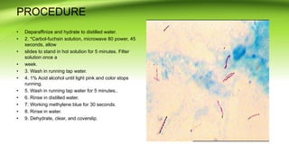 PROCEDURE
• Deparaffinize and hydrate to distilled water.
• 2. *Carbol-fuchsin solution, microwave 80 power, 45
seconds, allow
• slides to stand in hot solution for 5 minutes. Filter
solution once a
• week.
• 3. Wash in running tap water.
• 4. 1% Acid alcohol until light pink and color stops
running.
• 5. Wash in running tap water for 5 minutes..
• 6. Rinse in distilled water.
• 7. Working methylene blue for 30 seconds.
• 8. Rinse in water.
• 9. Dehydrate, clear, and coverslip.
 